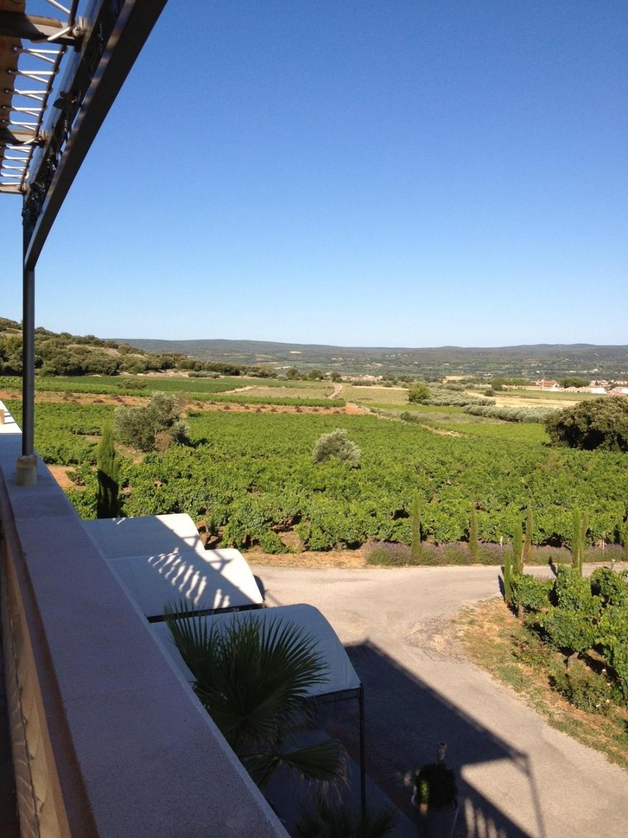 Chateau De Valloubiere Bed & Breakfast Saint-Jean-de-Fos