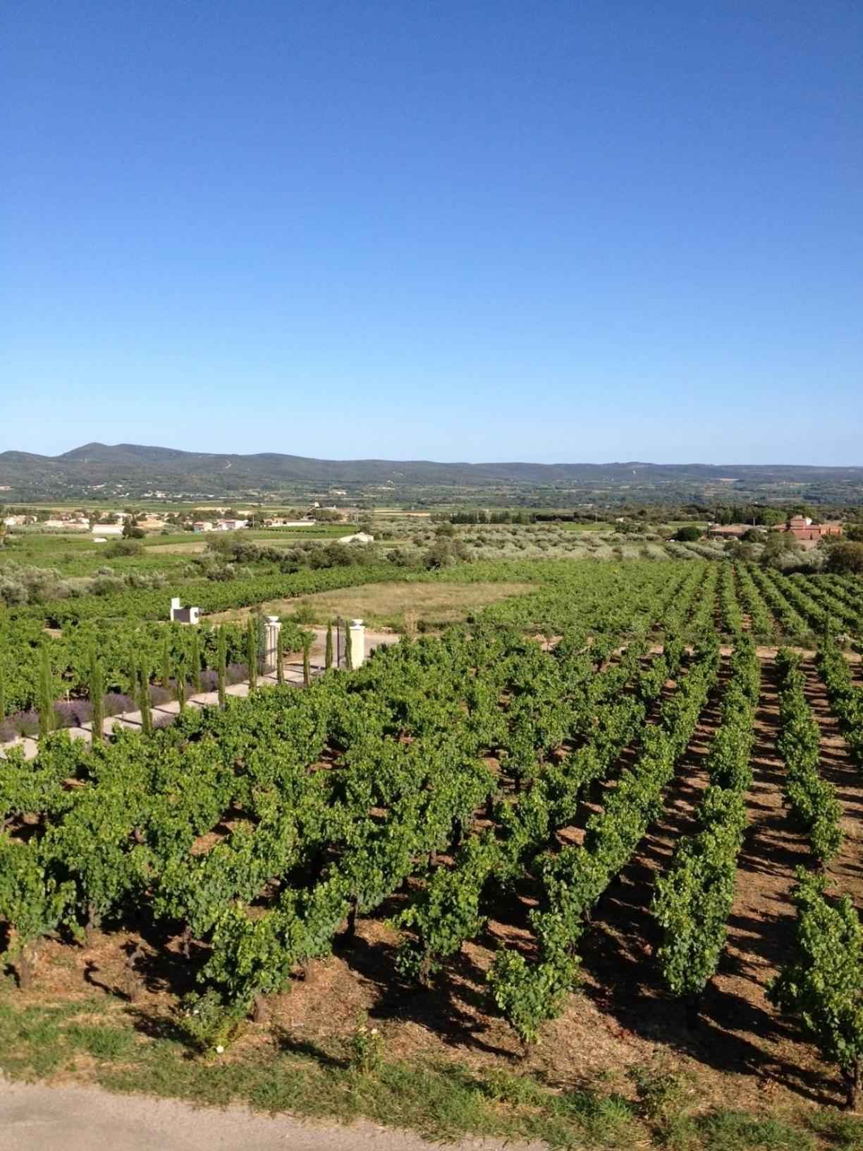 Chateau De Valloubiere