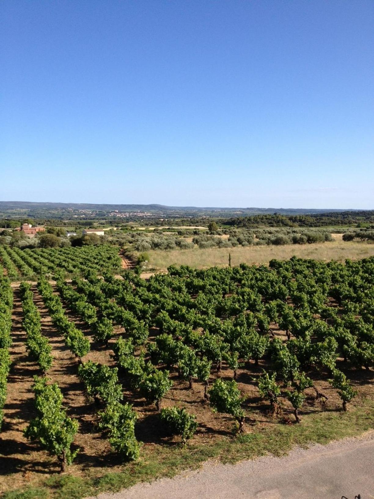 Chateau De Valloubiere 3*