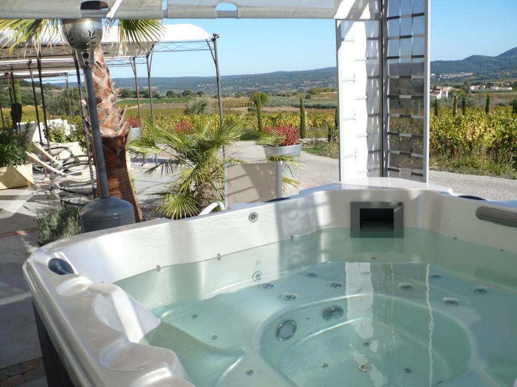 Chateau De Valloubiere Bed & Breakfast Saint-Jean-de-Fos