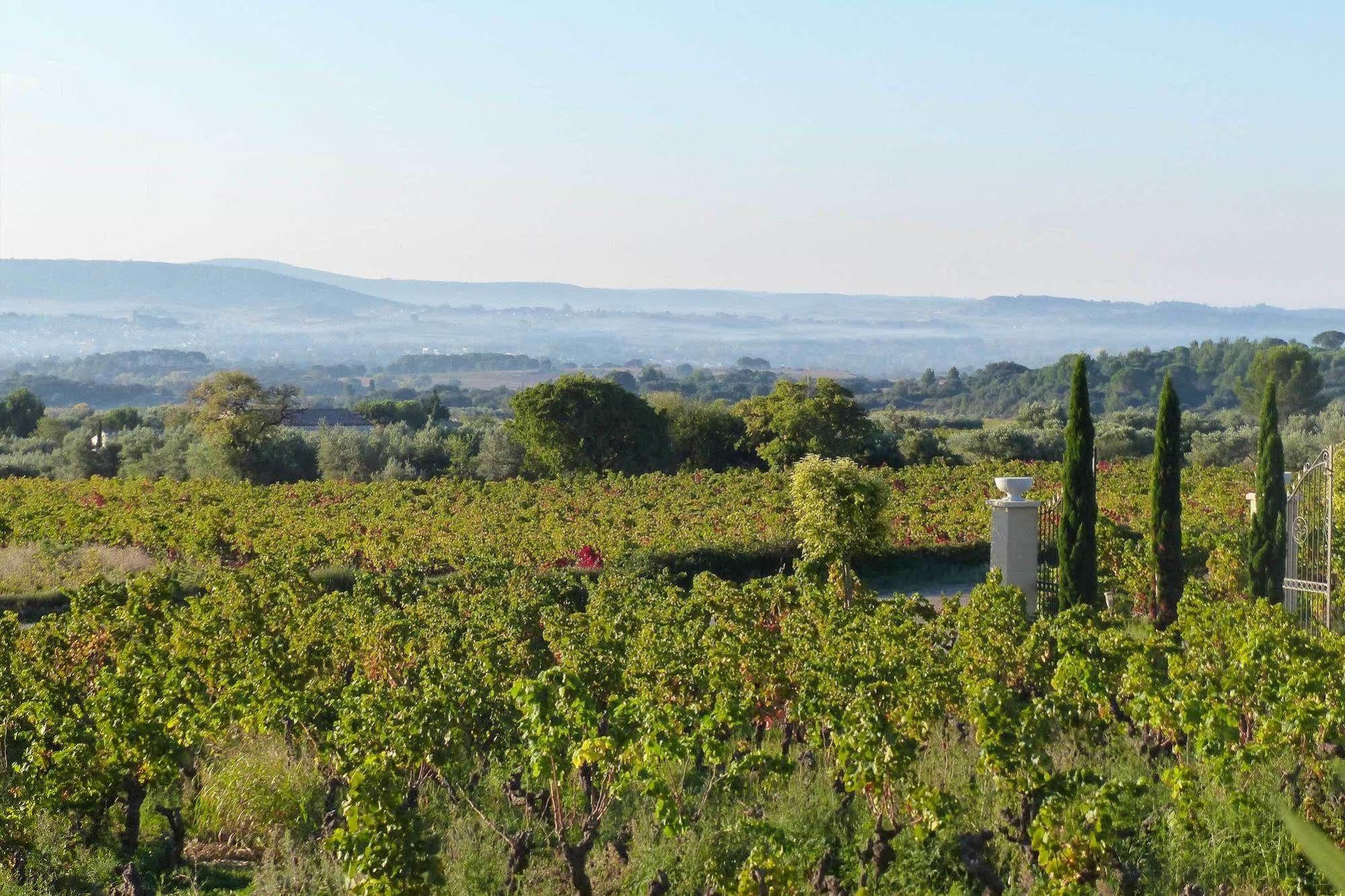 Chateau De Valloubiere Bed & Breakfast 3*